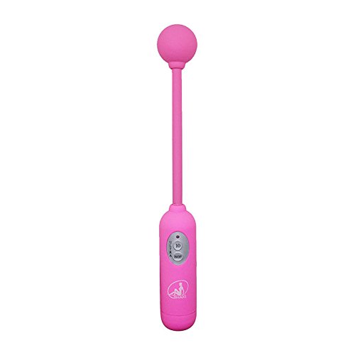 Sex Toy Wand 10